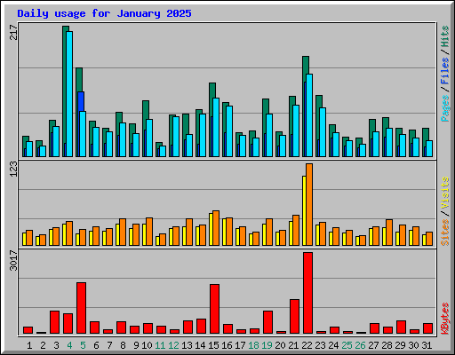 Daily usage for January 2025