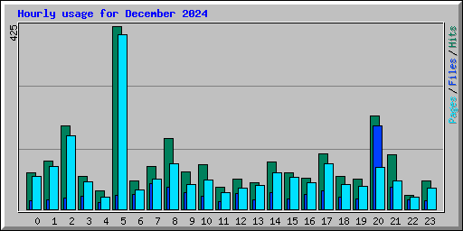 Hourly usage for December 2024