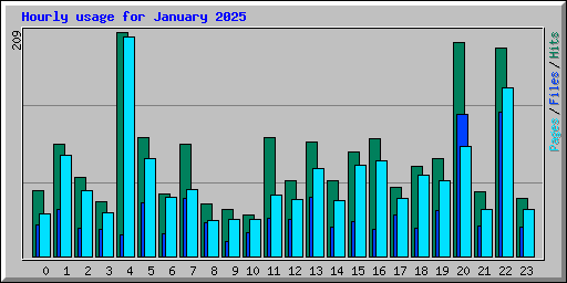 Hourly usage for January 2025