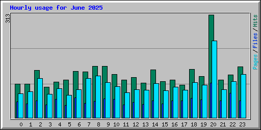 Hourly usage for June 2025