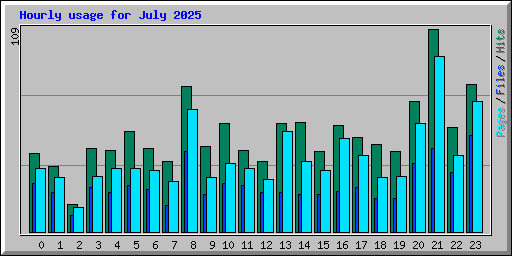 Hourly usage for July 2025