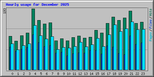 Hourly usage for December 2025