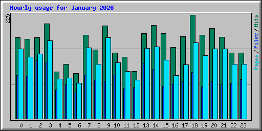 Hourly usage for January 2026